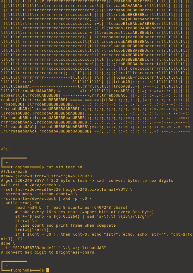 ...last frame and script